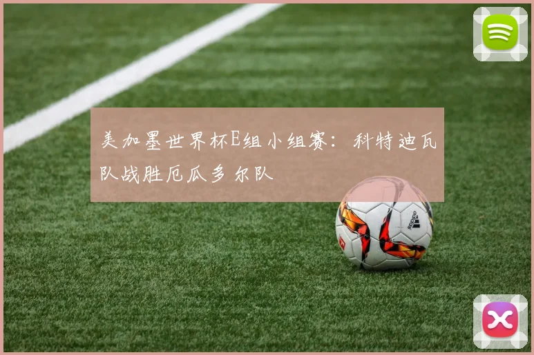 美加墨世界杯E组小组赛：科特迪瓦队战胜厄瓜多尔队